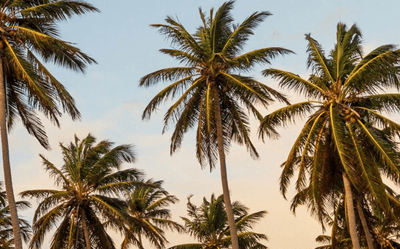 Beyond Traditional Acupuncture: A Modern Approach to Lasting Healing, Pain Relief and Overall Wellbeing